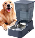 5L for Cats and Medium and Large-Sized Dogs with Stainless Steel Bow