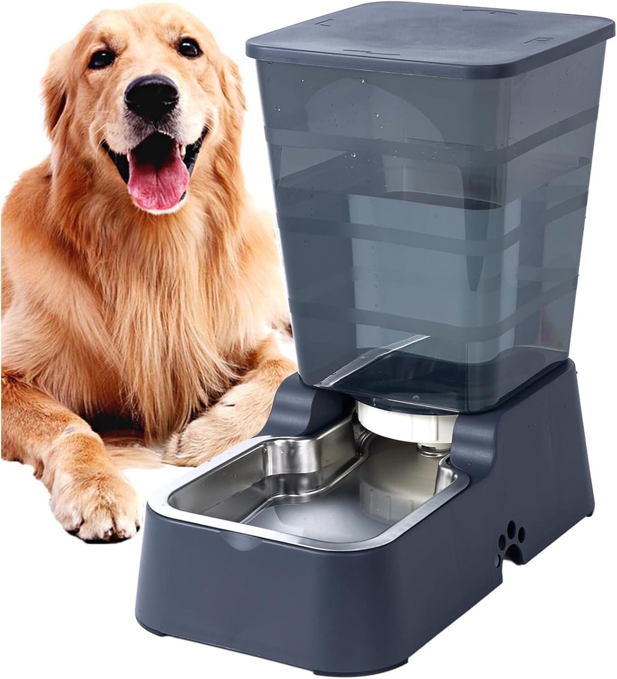 5L for Cats and Medium and Large-Sized Dogs with Stainless Steel Bow