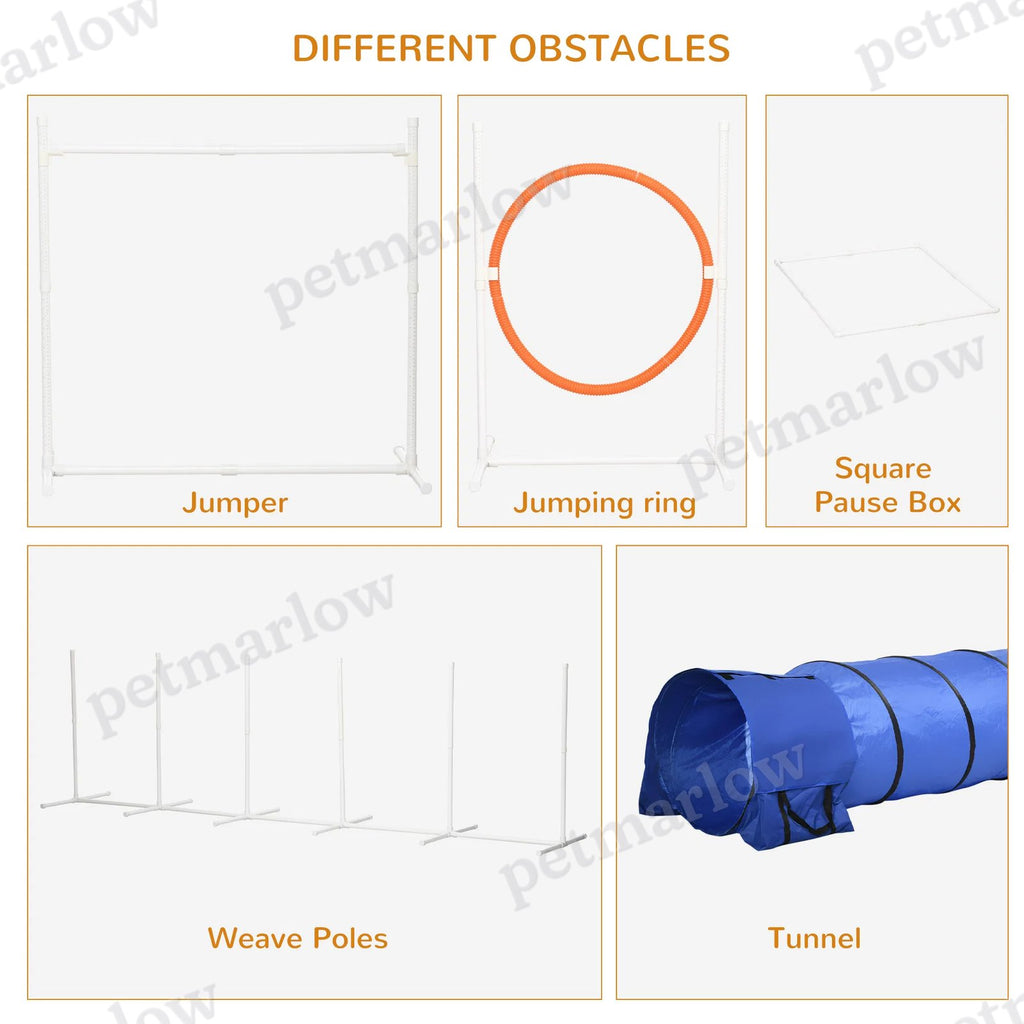 5Pcs Dog Agility Training Equipment Set – view 5