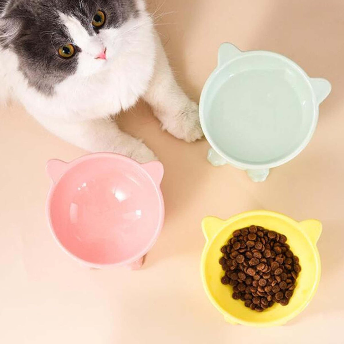 Elevated Porcelain Pet Bowl - Stylish Raised Feeder – view 8
