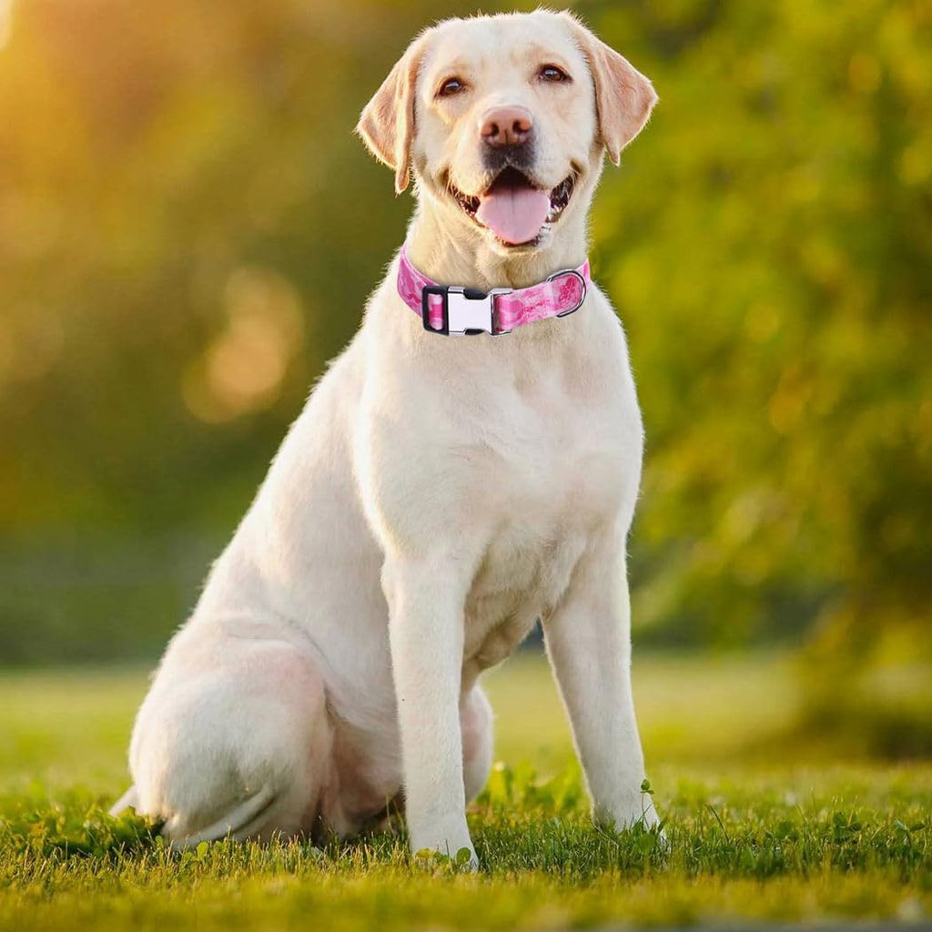 Custom Engraved Dog Collar with Metal Buckle – view 11