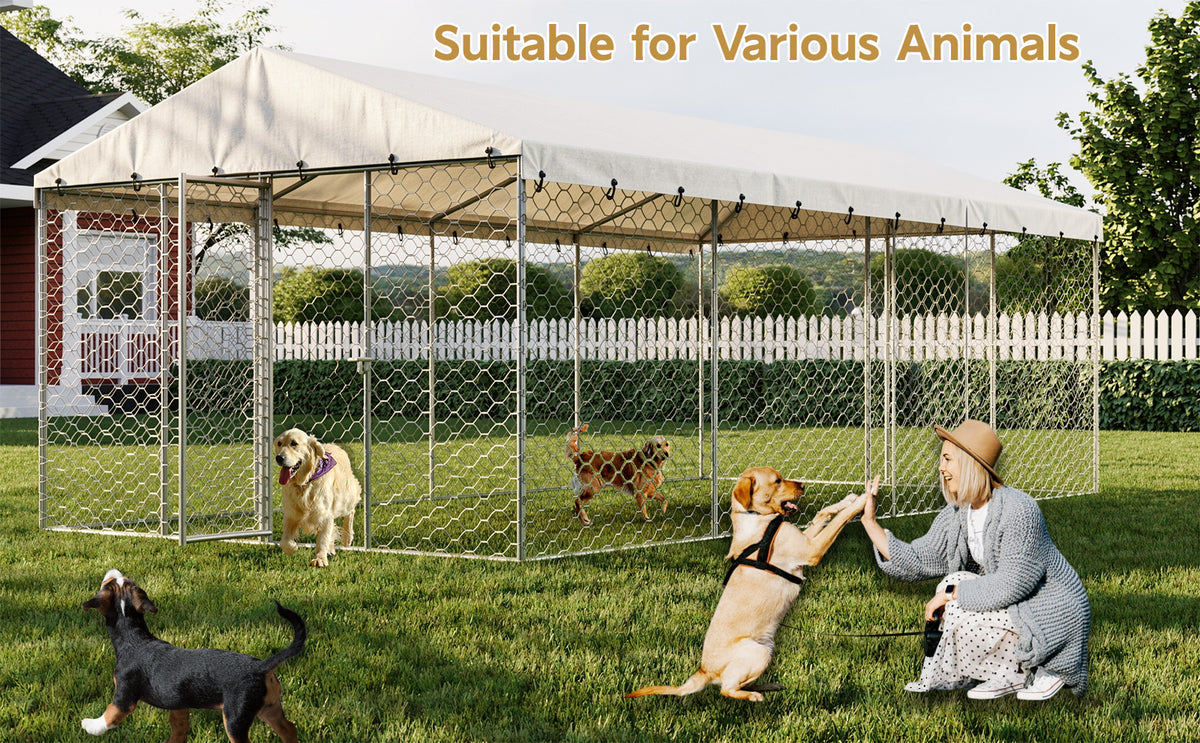 Large Outdoor Dog Kennel with Canopy for All-Weather Protection – view 8