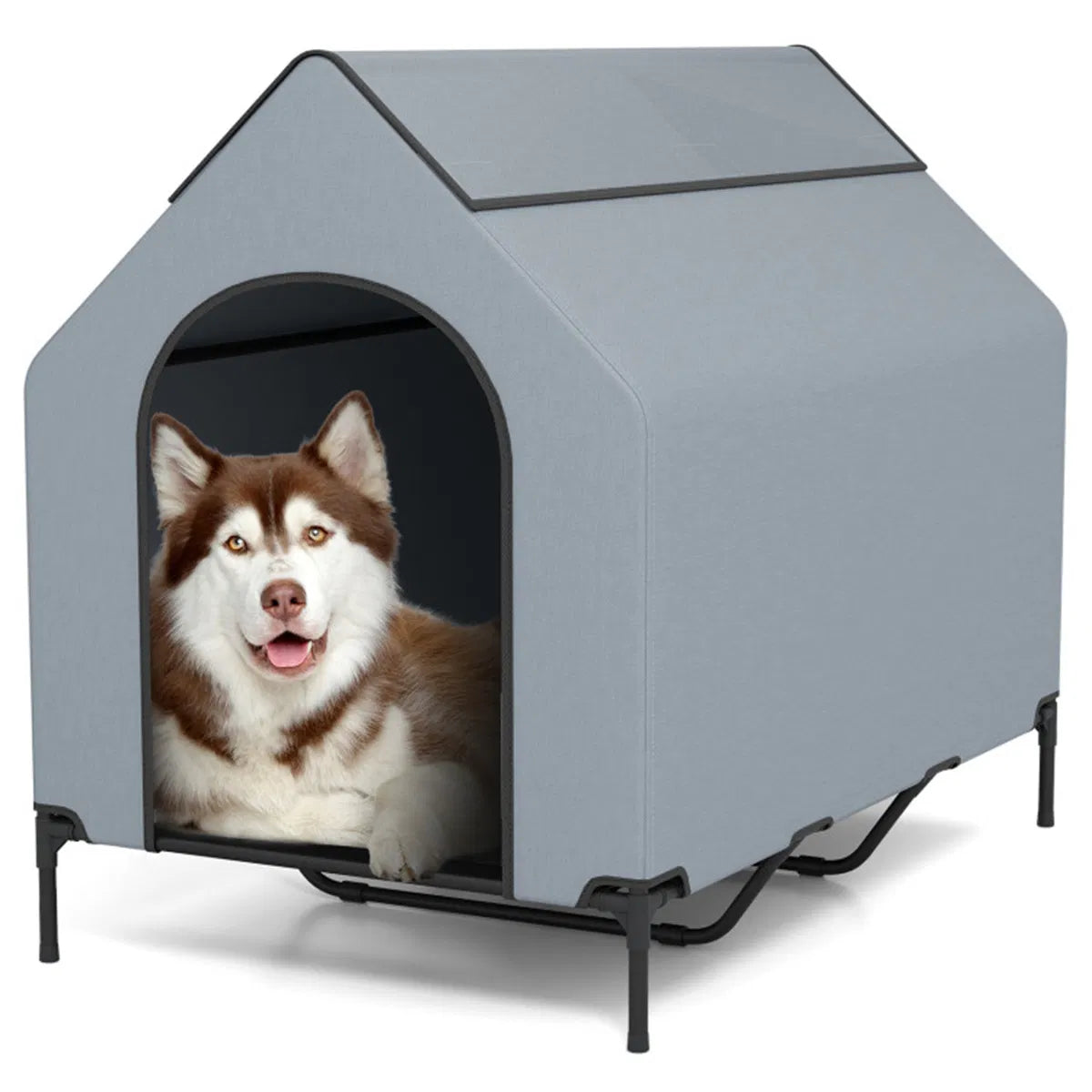 Elevated Pet House with Windows for Comfort and Protection – view 9