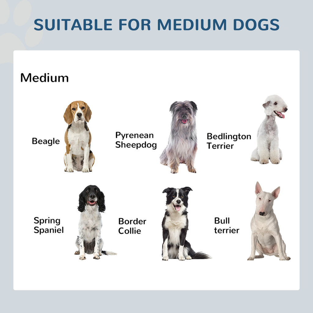 Elevated Dog Food Bowl Station for Healthy Feeding – view 8