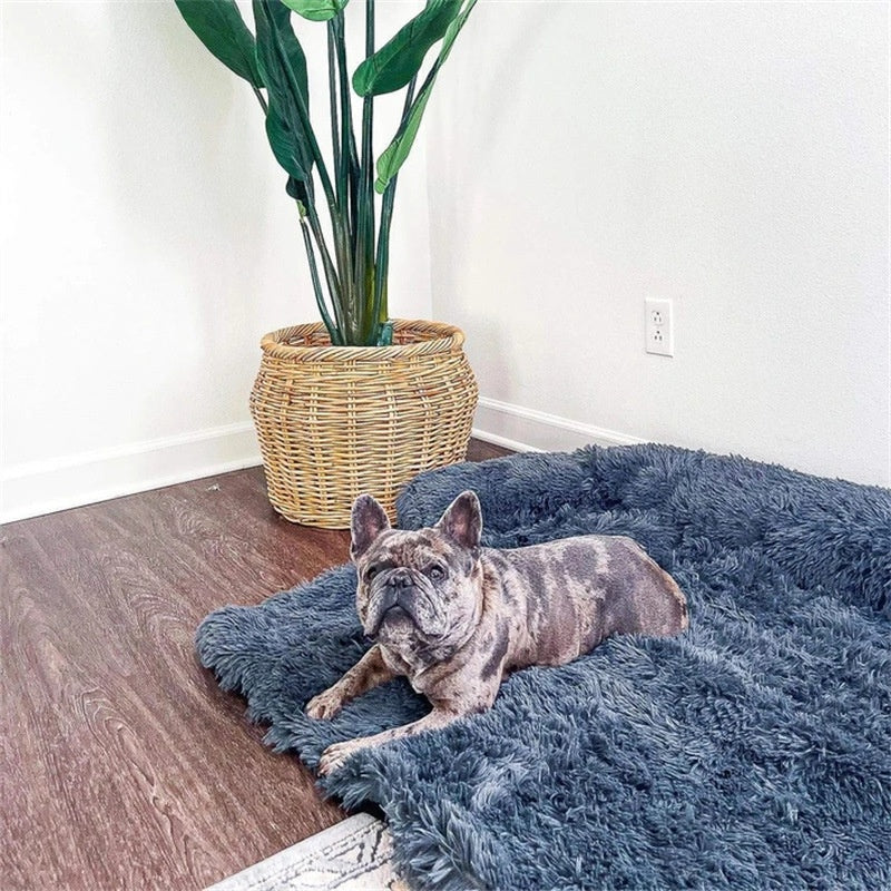 Plush Faux Fur Dog Bed