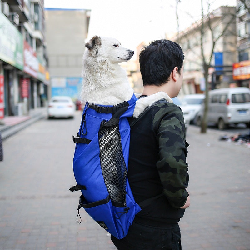 Pet Carrier Backpack for Small Dogs