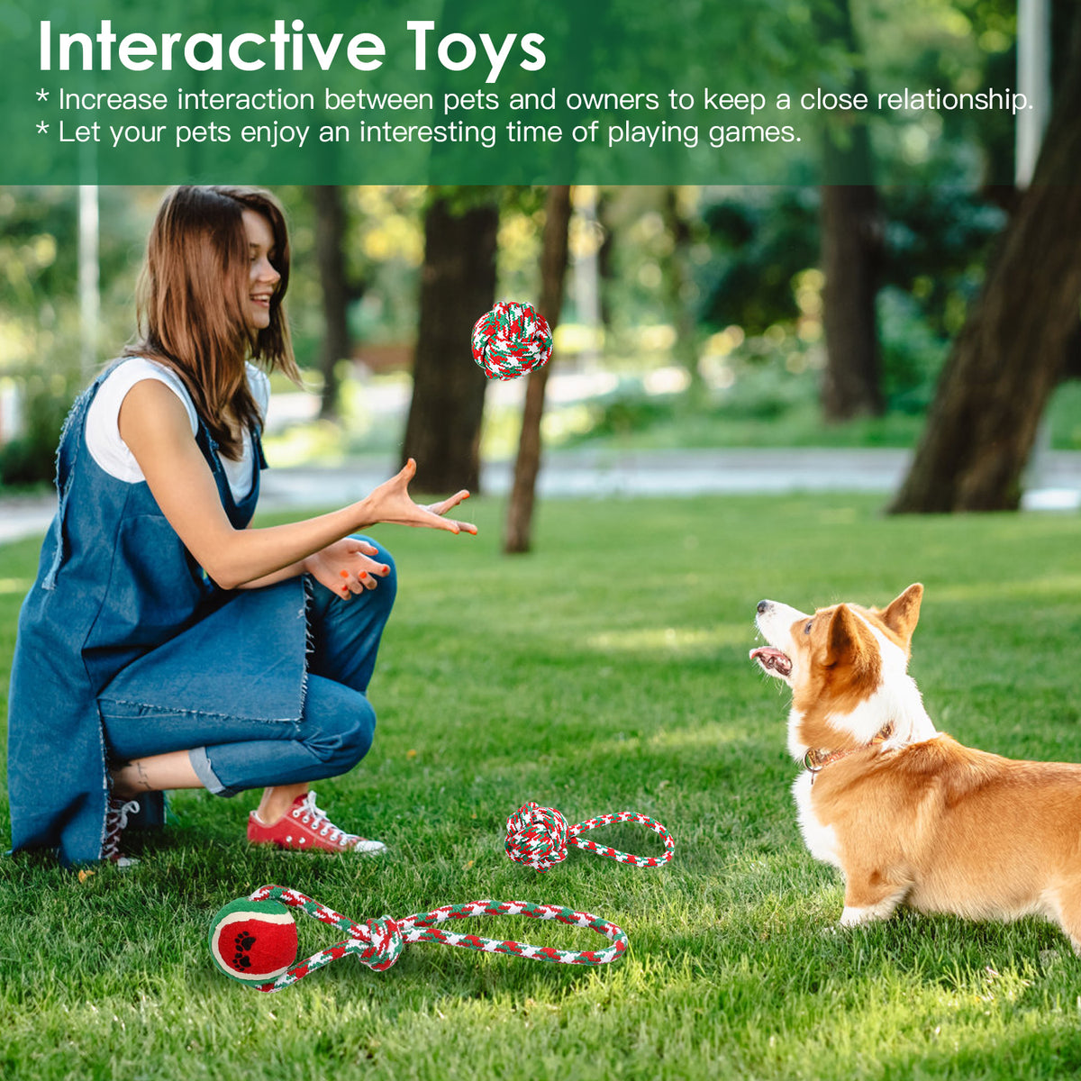 Christmas Rope Chew Toys for Dogs, 5-Pack