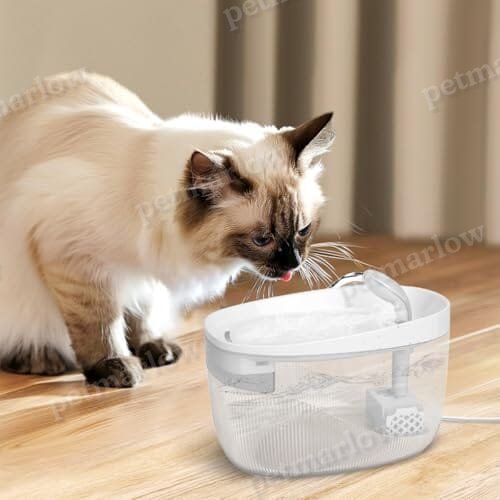 74oz/2.2L Cat Water Fountain, Automatic Indoor Pet Fountain Cat Water Dispenser with Ultra Quiet Pump – view 3
