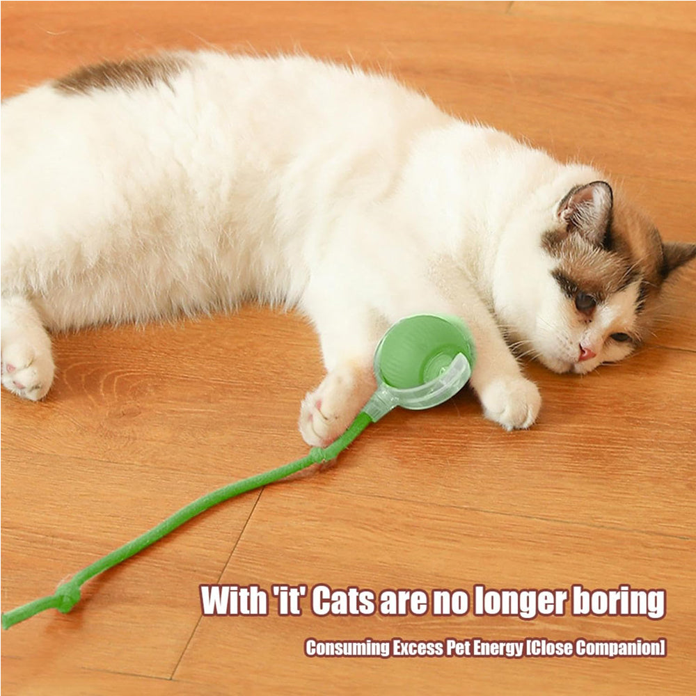 Interactive Rolling Cat Ball – view 7