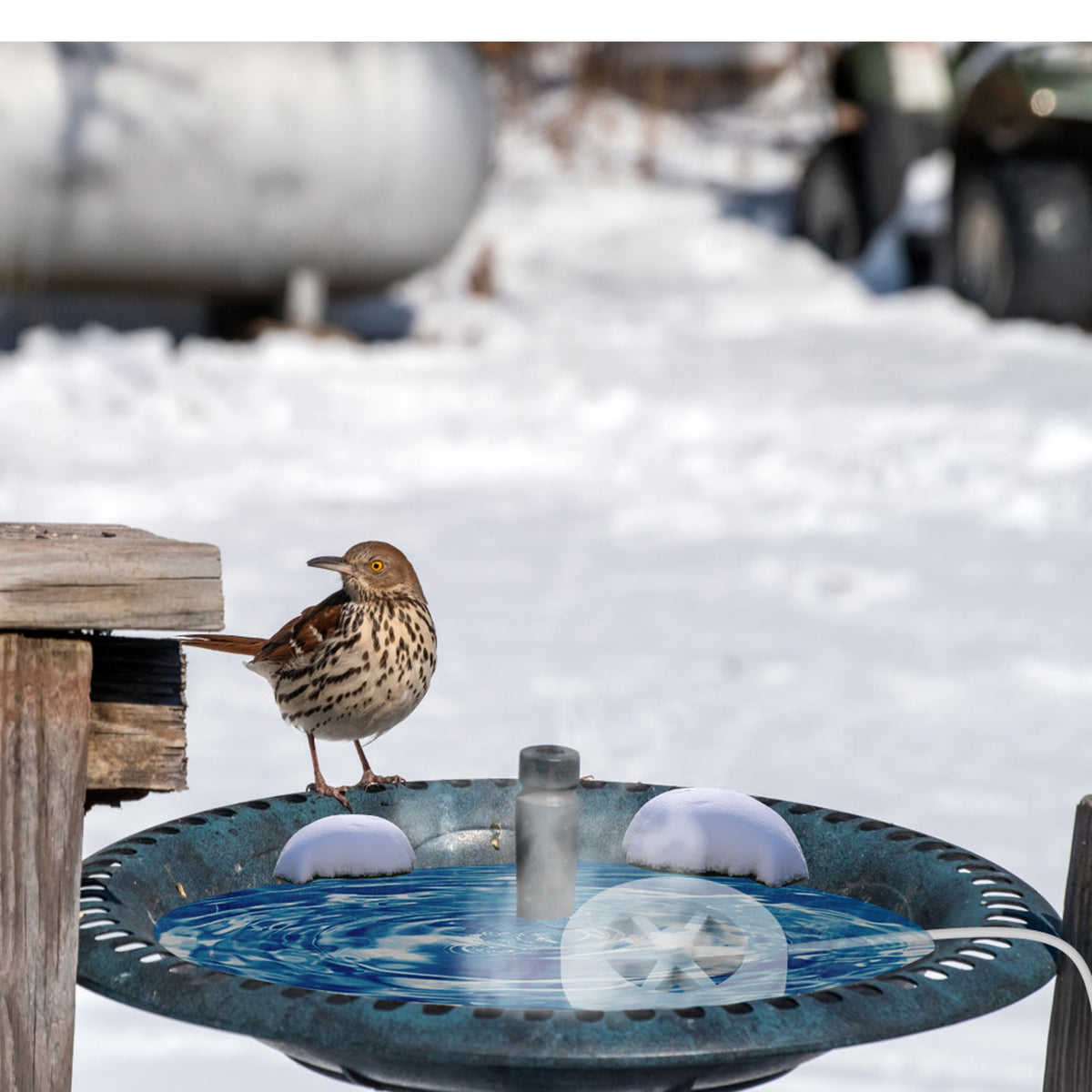 Bird Bath Heater Keeps Water Warm for Winter – view 12