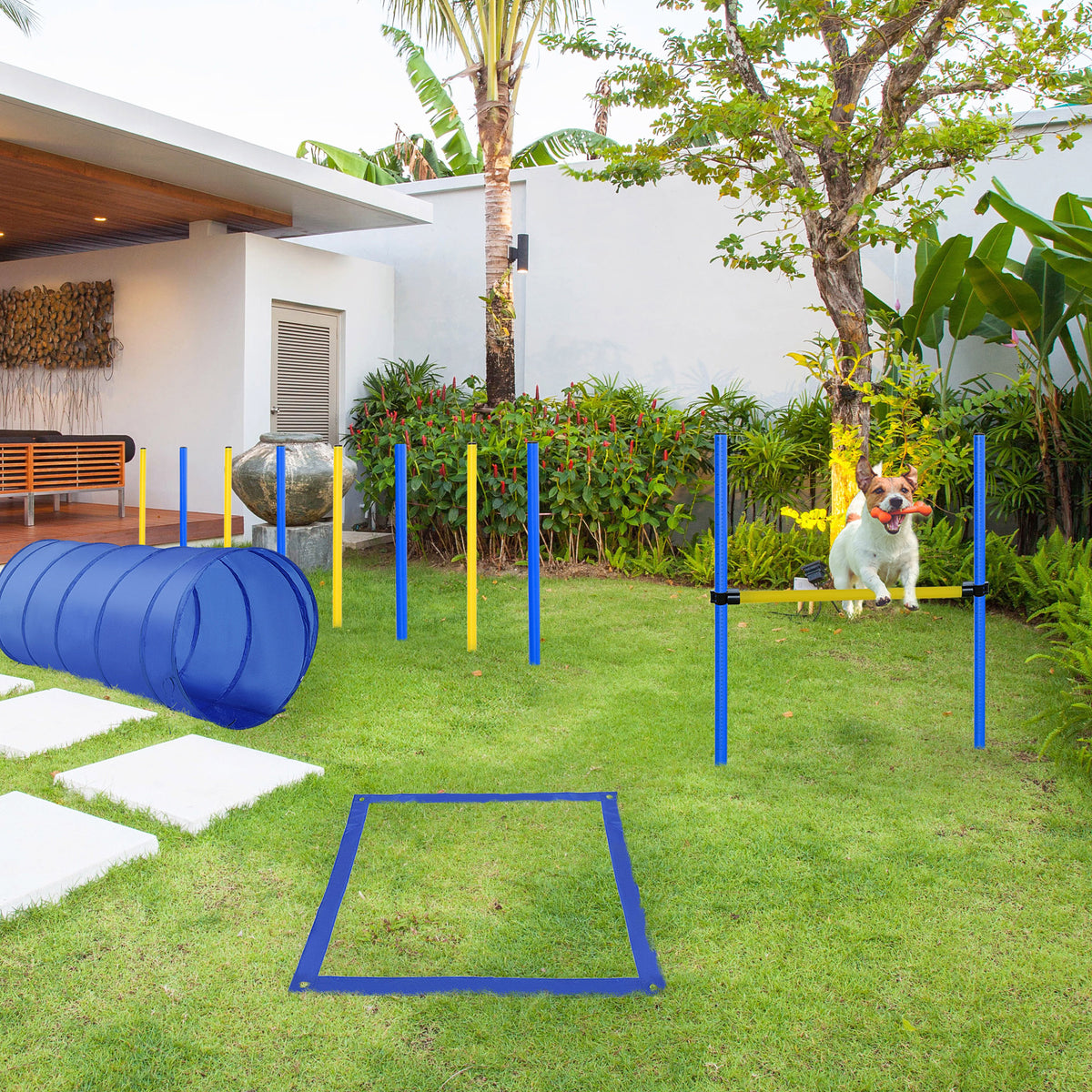 Dog Agility Training Kit for Fun and Exercise – view 7