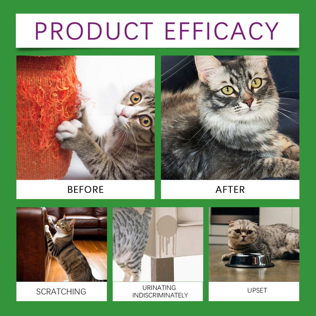 Cat Calming Pheromone Diffuser Kit for Stress Relief – view 9