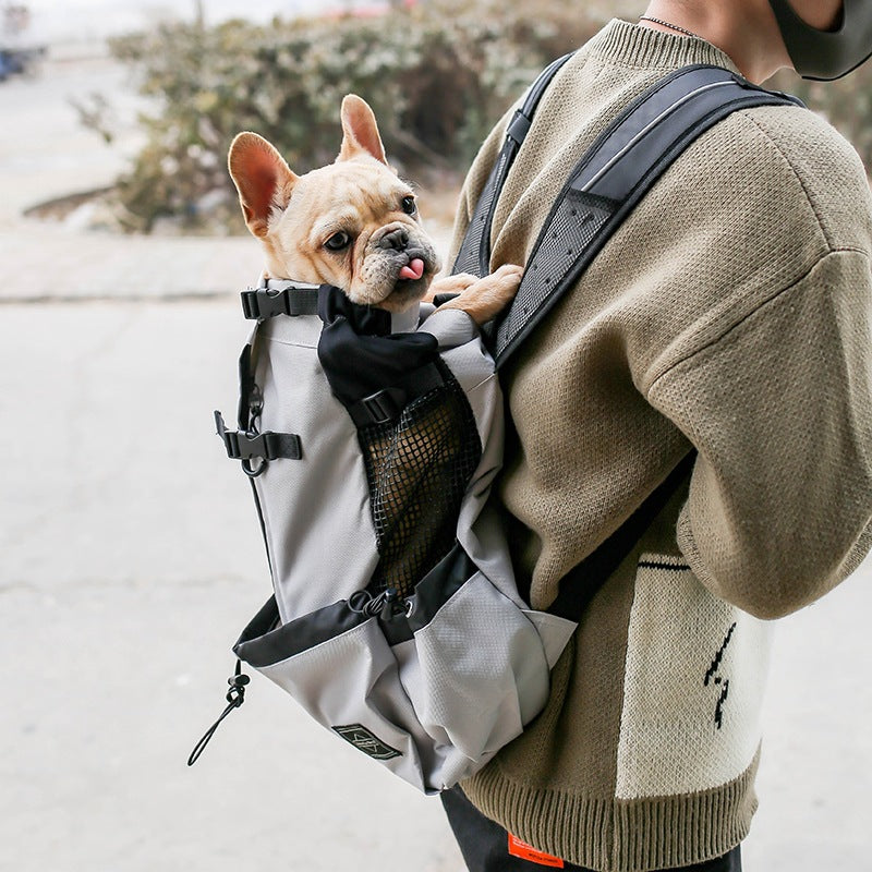 Pet Carrier Backpack for Small Dogs