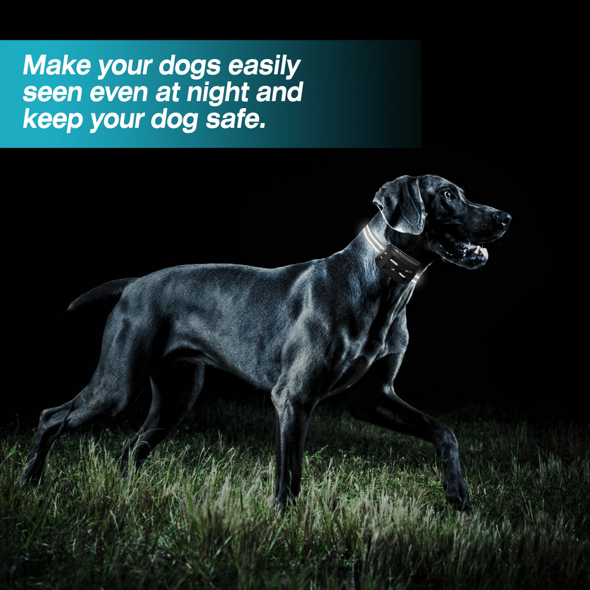 Wireless Electric Dog Fence and Training Collar System – view 8