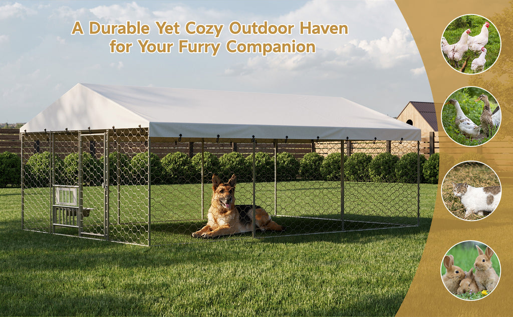 Large Outdoor Dog Kennel with Canopy for Comfortable Living Space – view 13