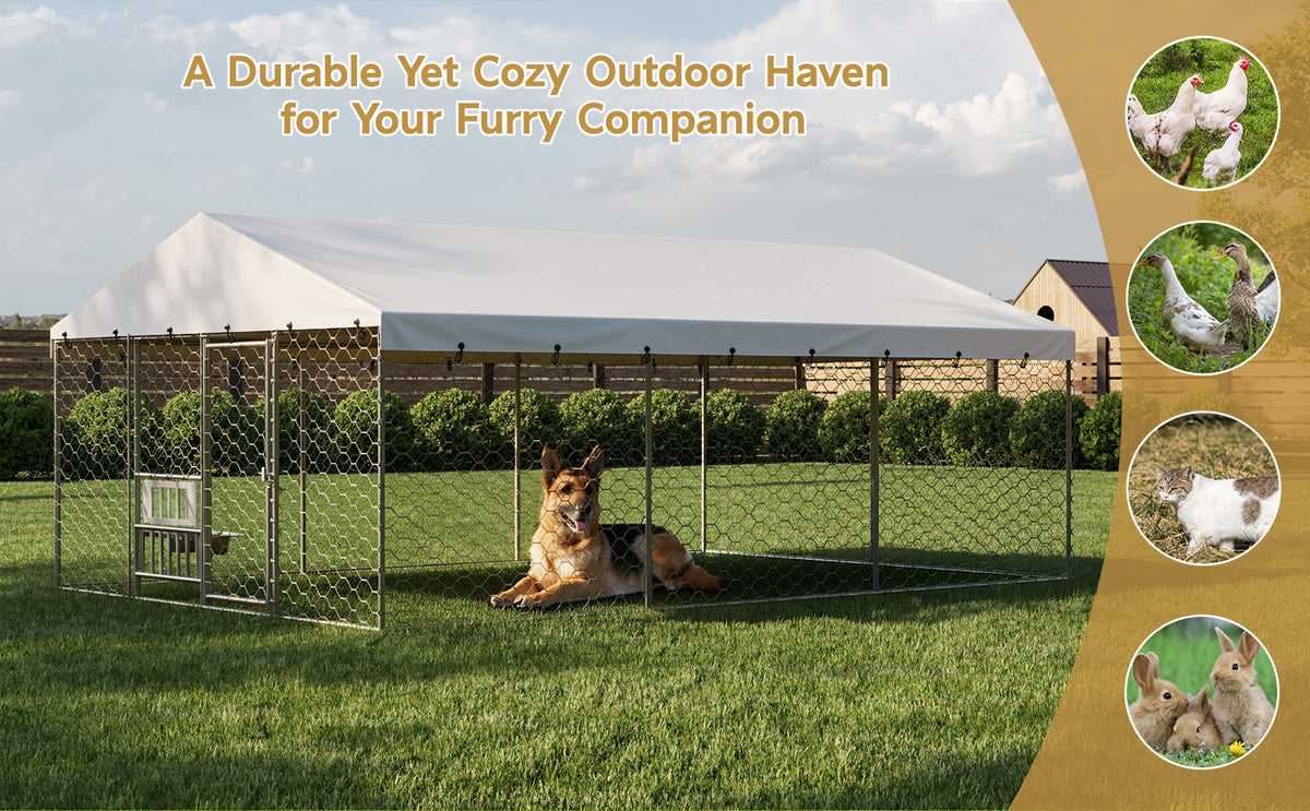 Large Outdoor Dog Kennel with Canopy for Comfortable Living Space – view 13