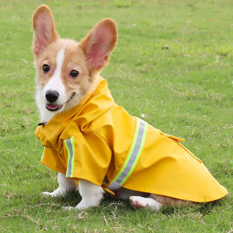 StormGuar Waterproof Dog Jacket – view 7