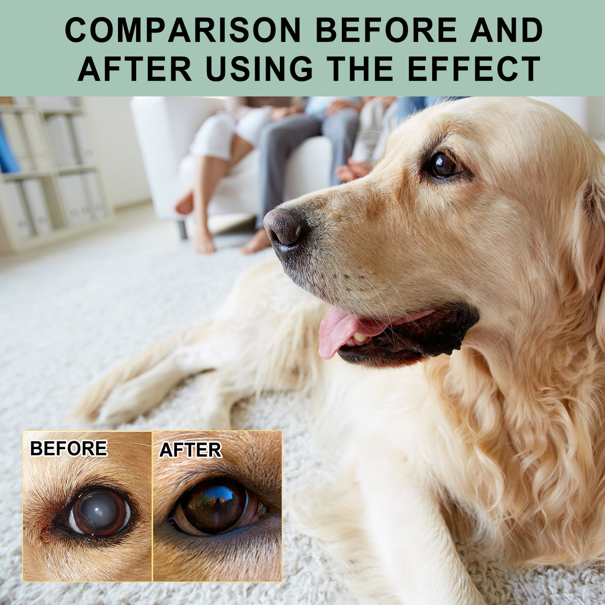 Pet Eye Drops for Dogs & Cats, Gentle Eye Cleaner – view 7