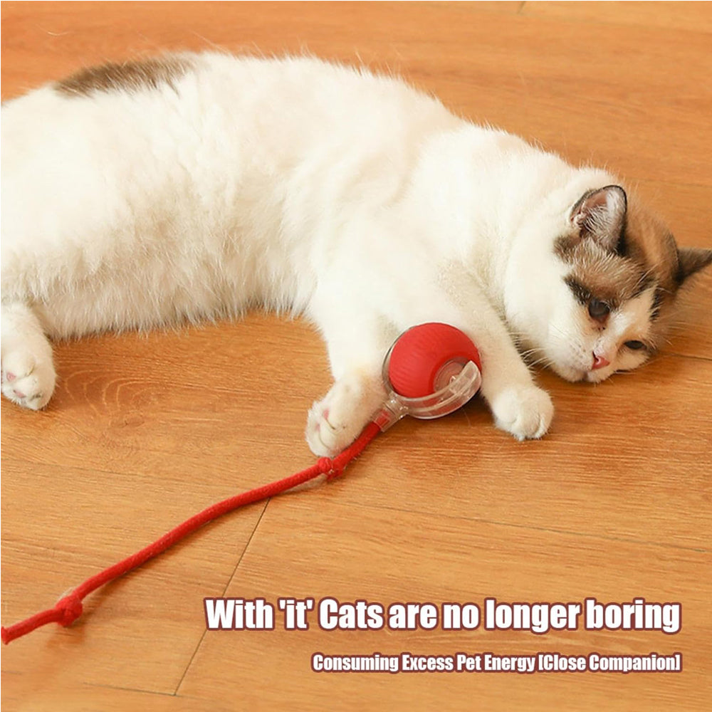Interactive Electric Rolling Ball Toy for Dogs and Cats – view 7