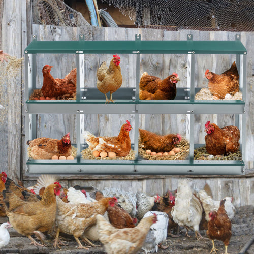 8 Compartment Chicken Nesting Boxes for Egg Laying