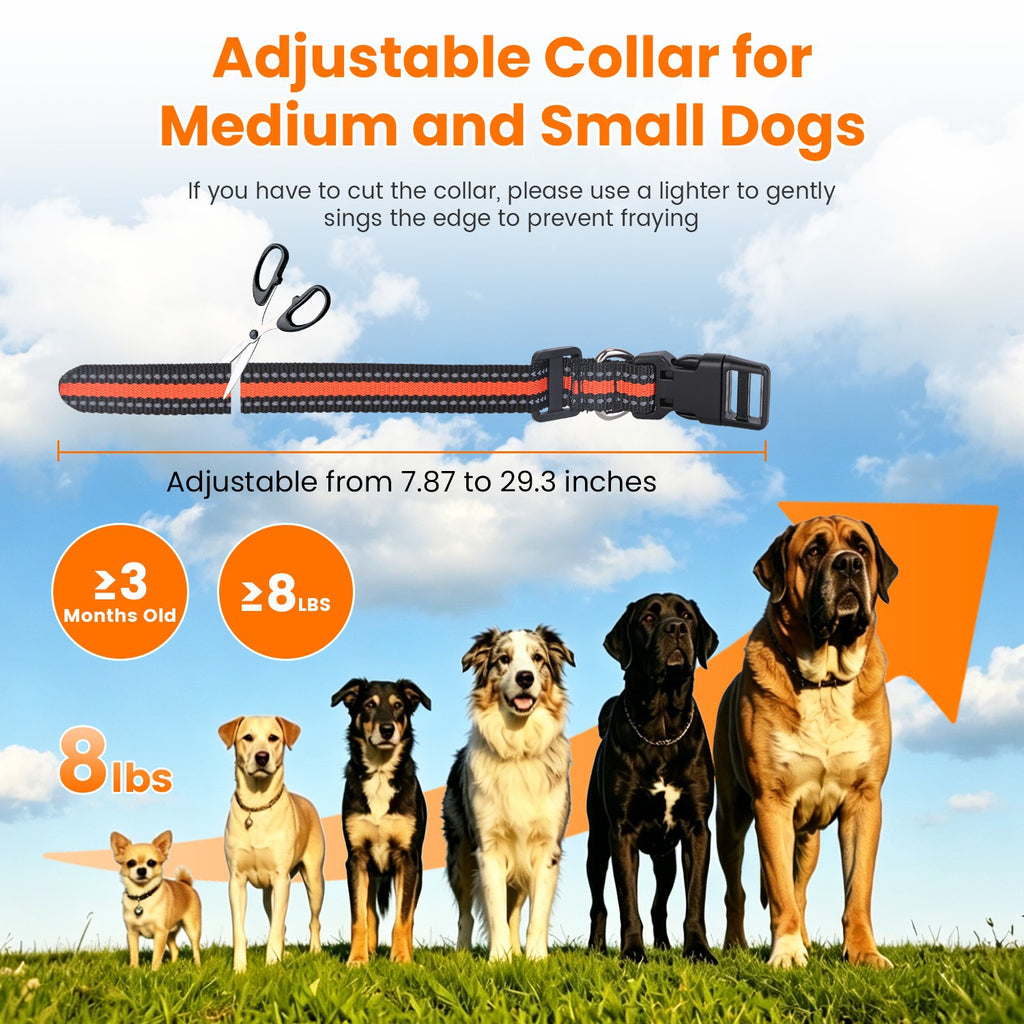 2 In 1 Wireless Dog Fence System with Training Collar – view 13
