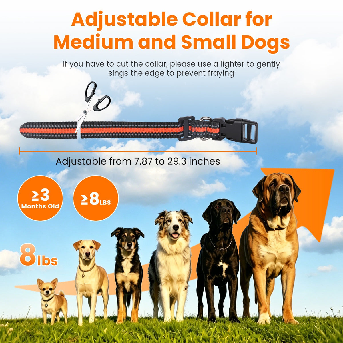 2 In 1 Wireless Dog Fence System with Training Collar – view 13