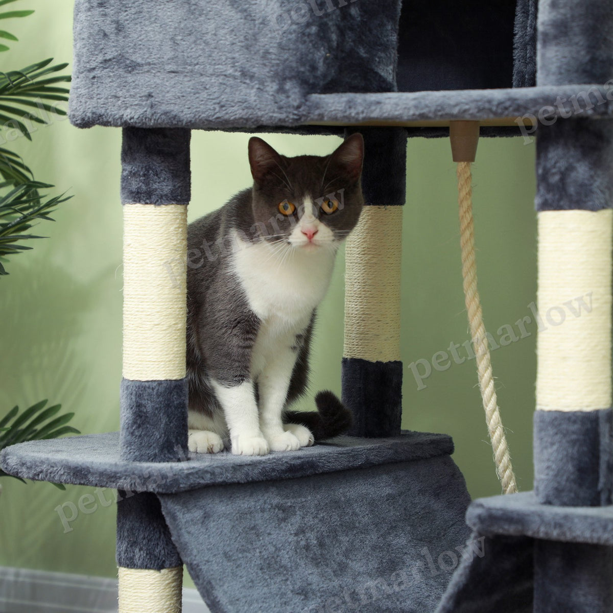 81" Cat Tree with Scratching Posts and Beds – view 4