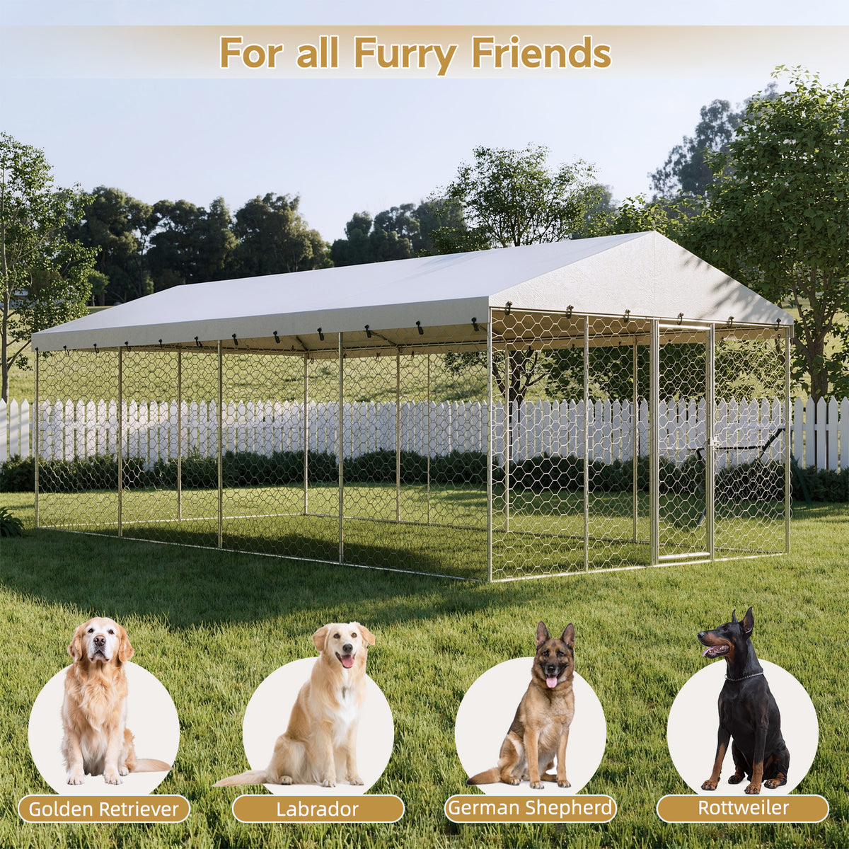Large Outdoor Dog Kennel with Canopy for All-Weather Protection – view 12