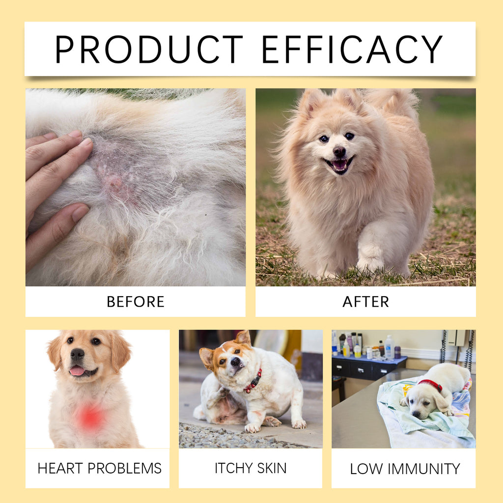 Dog Fish Oil Chewable Tablets for Skin and Coat Health – view 11