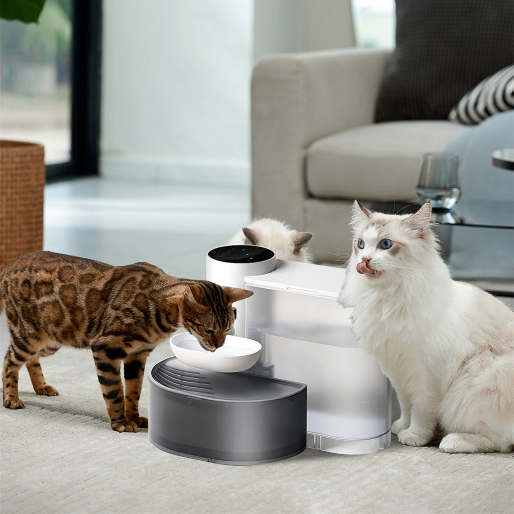 Automatic Smart Pet Water Fountain 3L – view 13