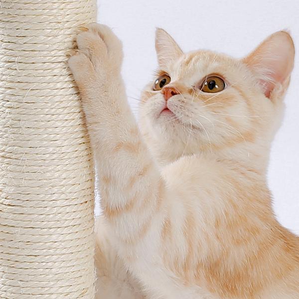 Sisal Cat Scratching Post with Ball Track