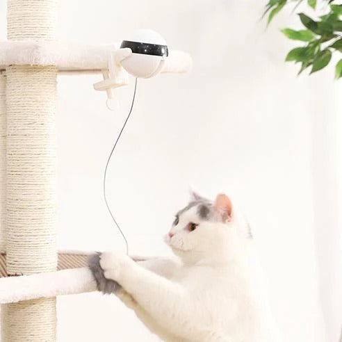 Interactive Self-Play Cat Toy – view 7