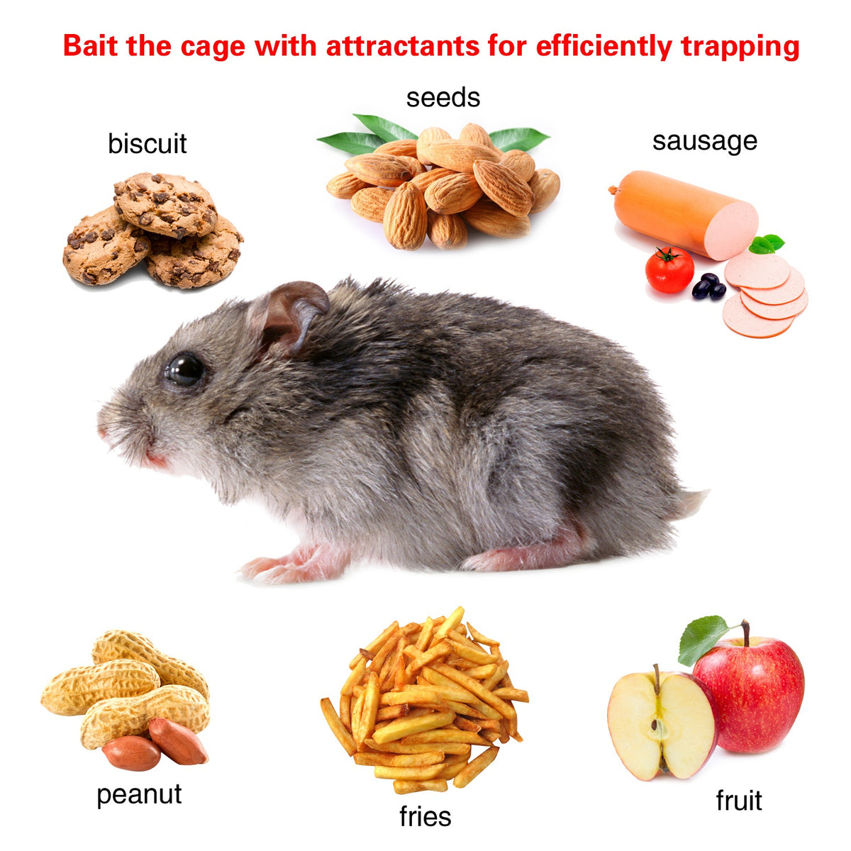 Humane Live Rodent Trap Cage for Mice Control – view 8