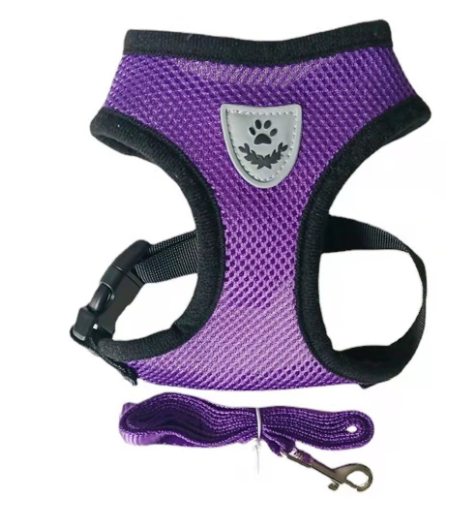 Multi-Color Dog Harness for Stylish Walks – view 8