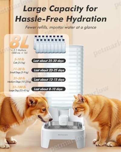 8L Large Gravity Cat Water Dispenser with Filter & Adjustable Base – view 2