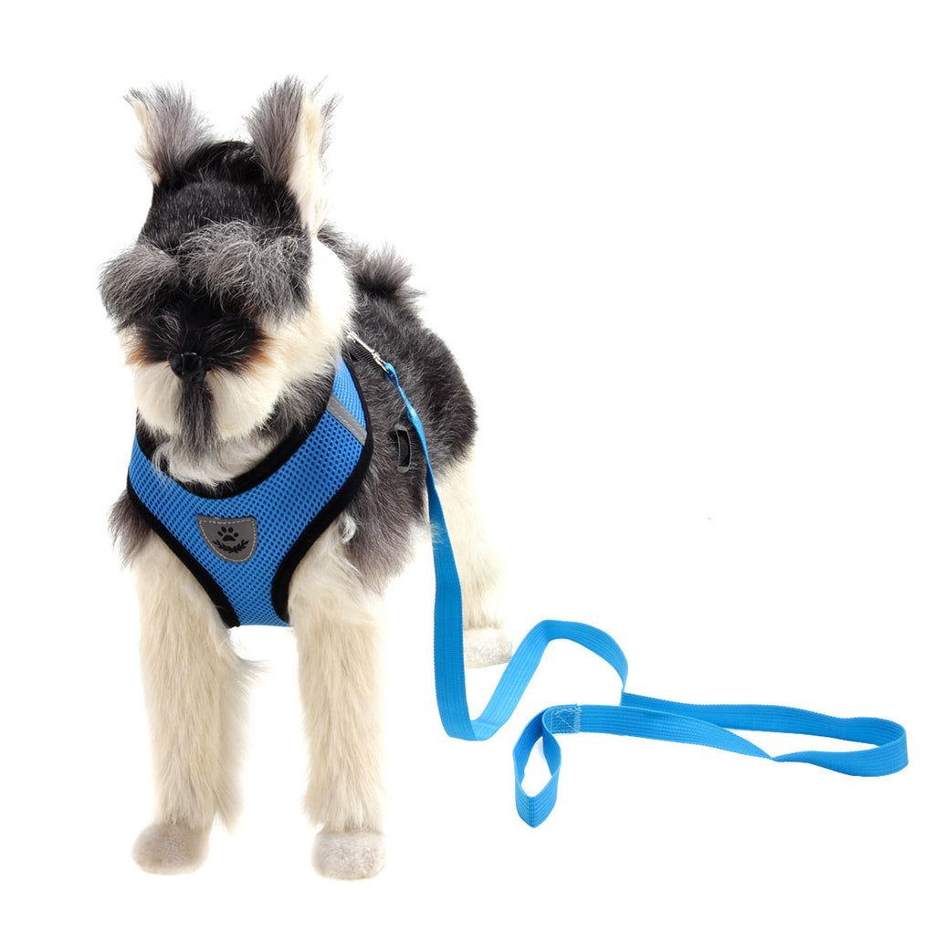 Multi-Color Dog Harness for Stylish Walks – view 7
