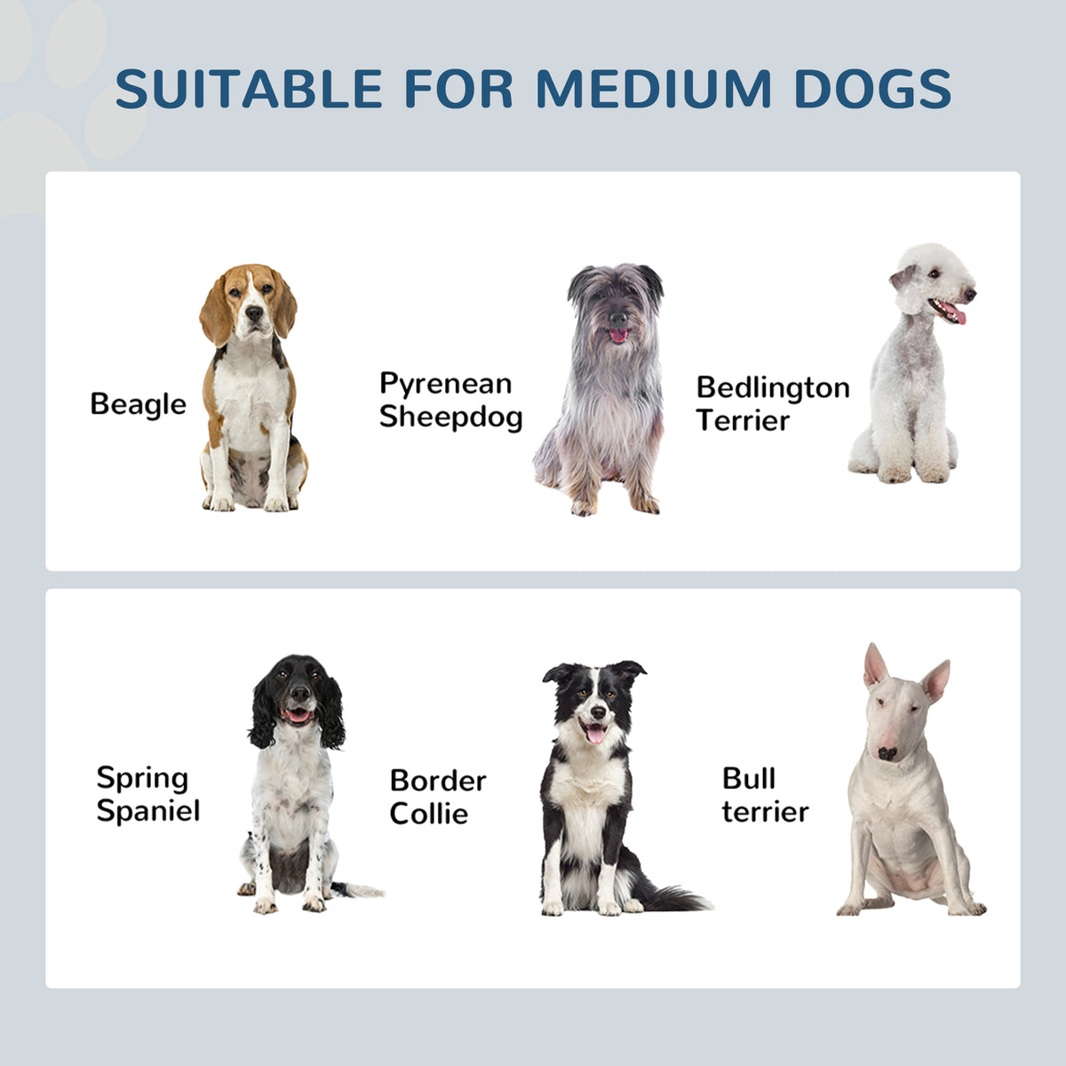Elevated Dog Bowls for Healthy Feeding Posture – view 8