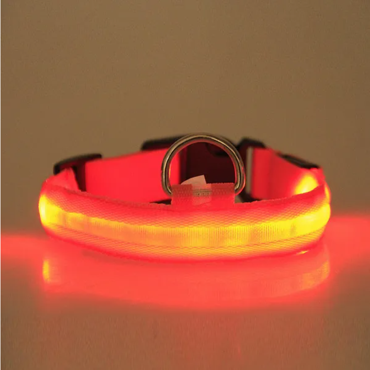 LED Light-Up Safety Collar for Dogs and Cats