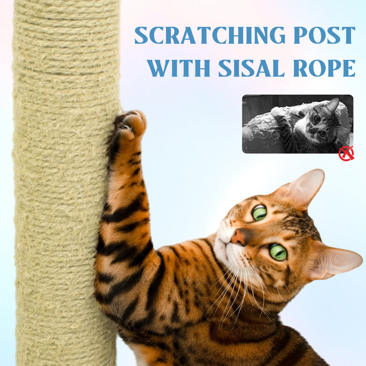 71-Inch Flower Cat Tree with Large Condo and Hammock – view 10