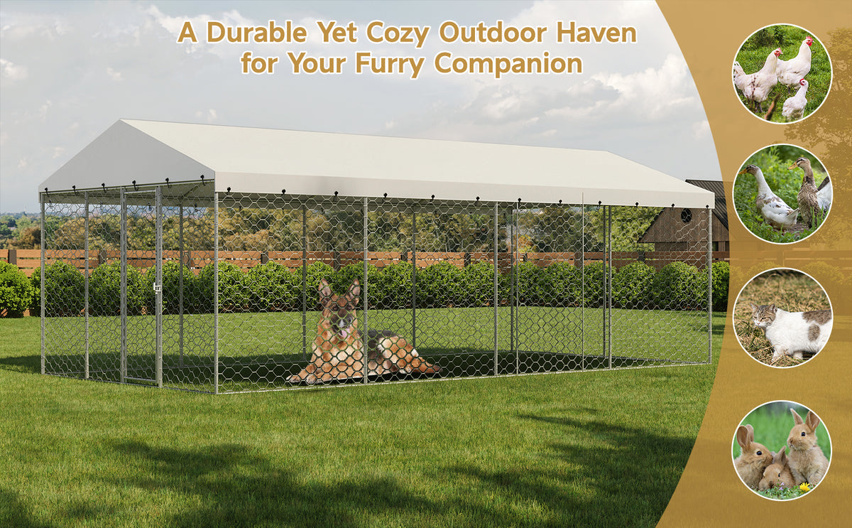 Large Outdoor Dog Kennel with Canopy for All-Weather Protection – view 9