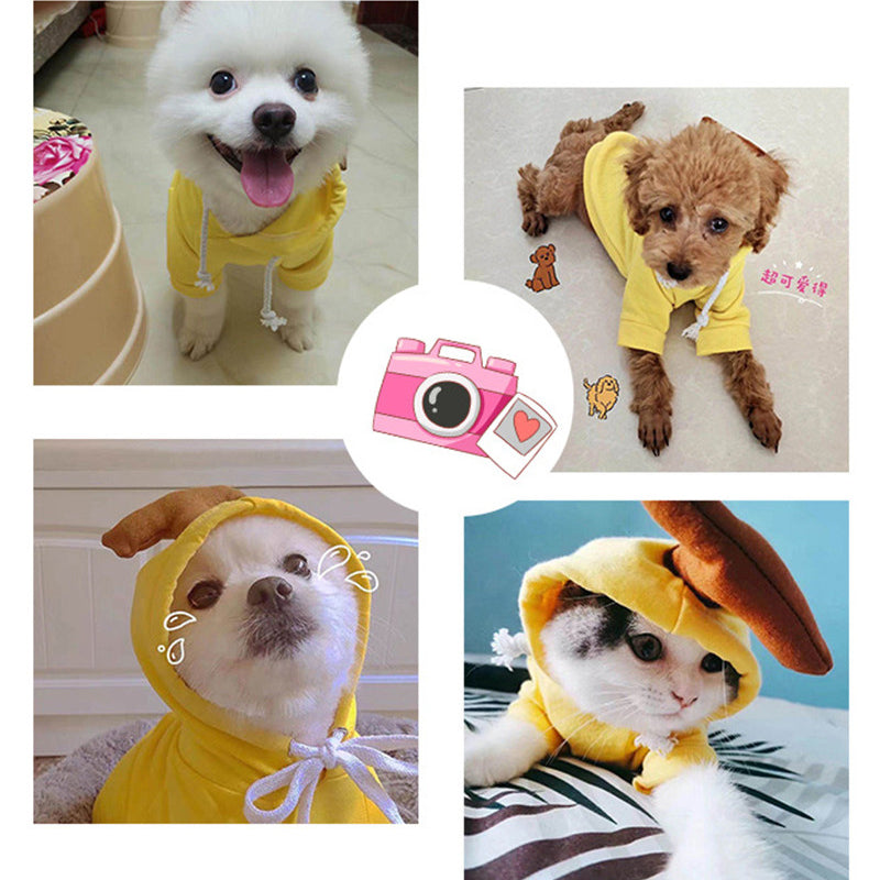 Cute Fruit Dog Clothes for Small Dogs Hoodies for Winter Warmth – view 14