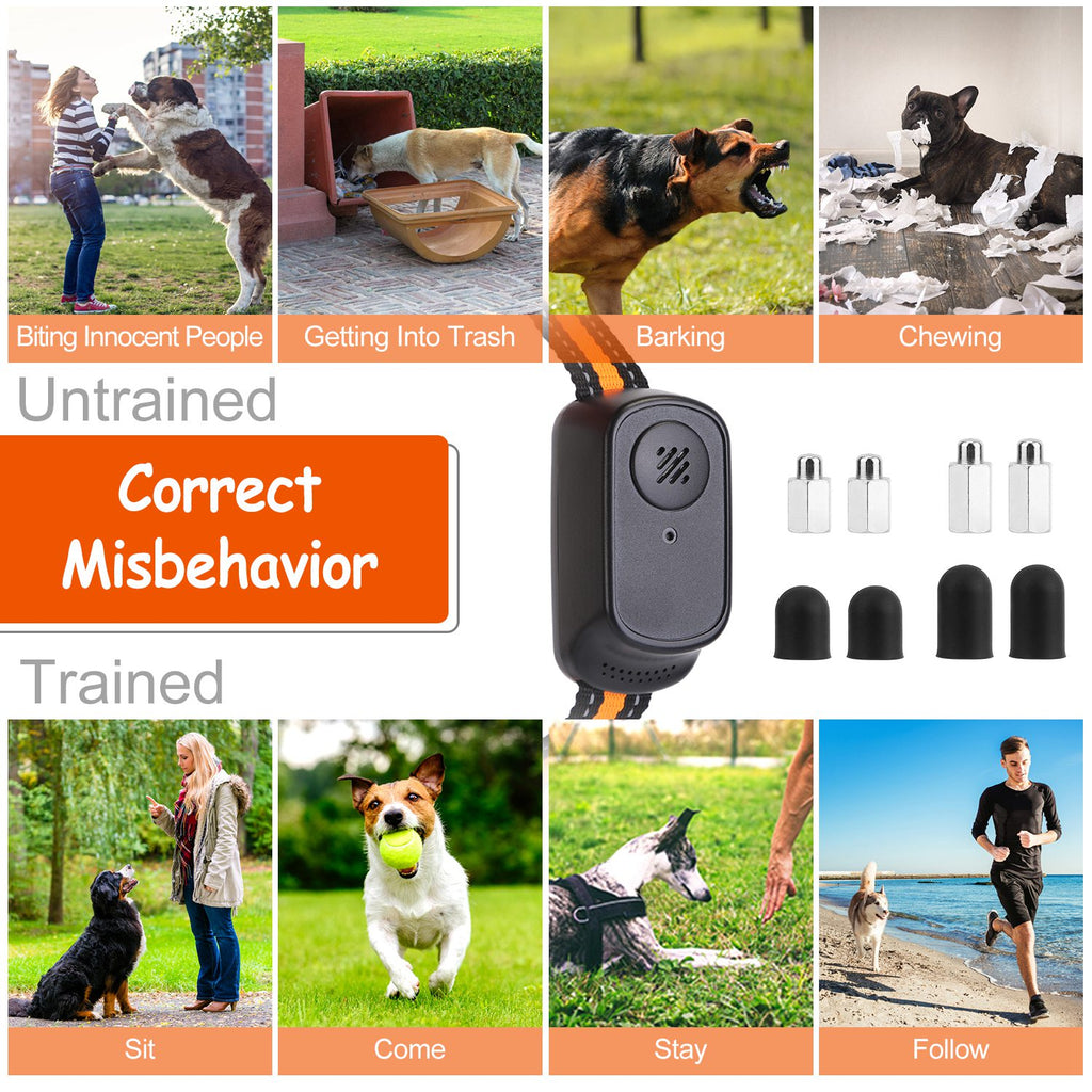 Dog Training Collar with Remote and 3 Training Modes – view 7