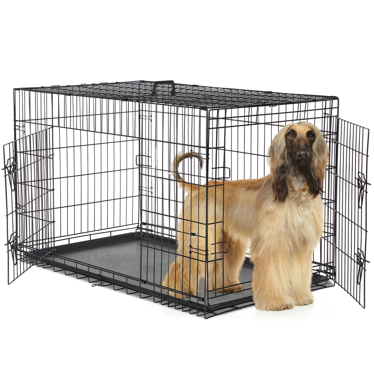 Metal Dog Crate with Two Doors