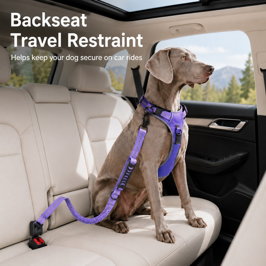 2-In-1 Reflective & Shock-Absorbing Dog Seat Belt Leash – view 7