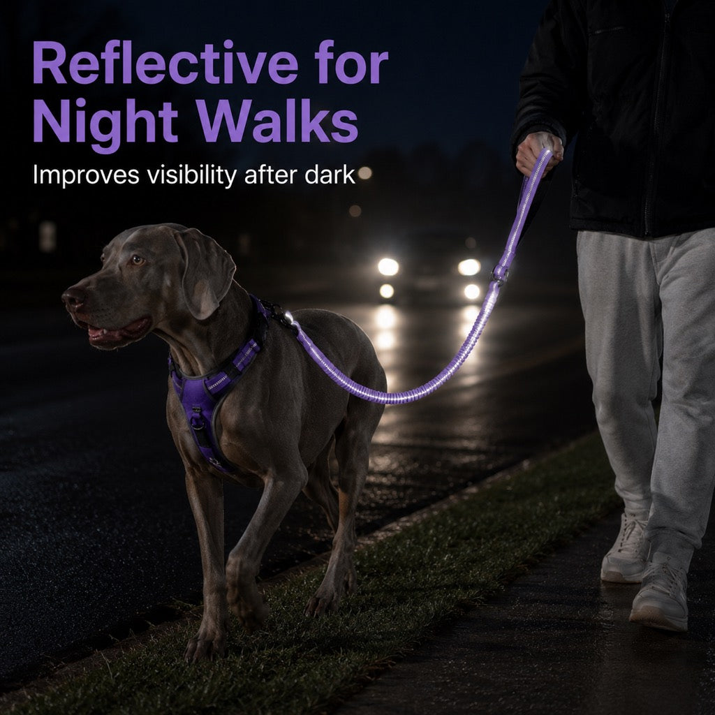 2-In-1 Reflective & Shock-Absorbing Dog Seat Belt Leash – view 8