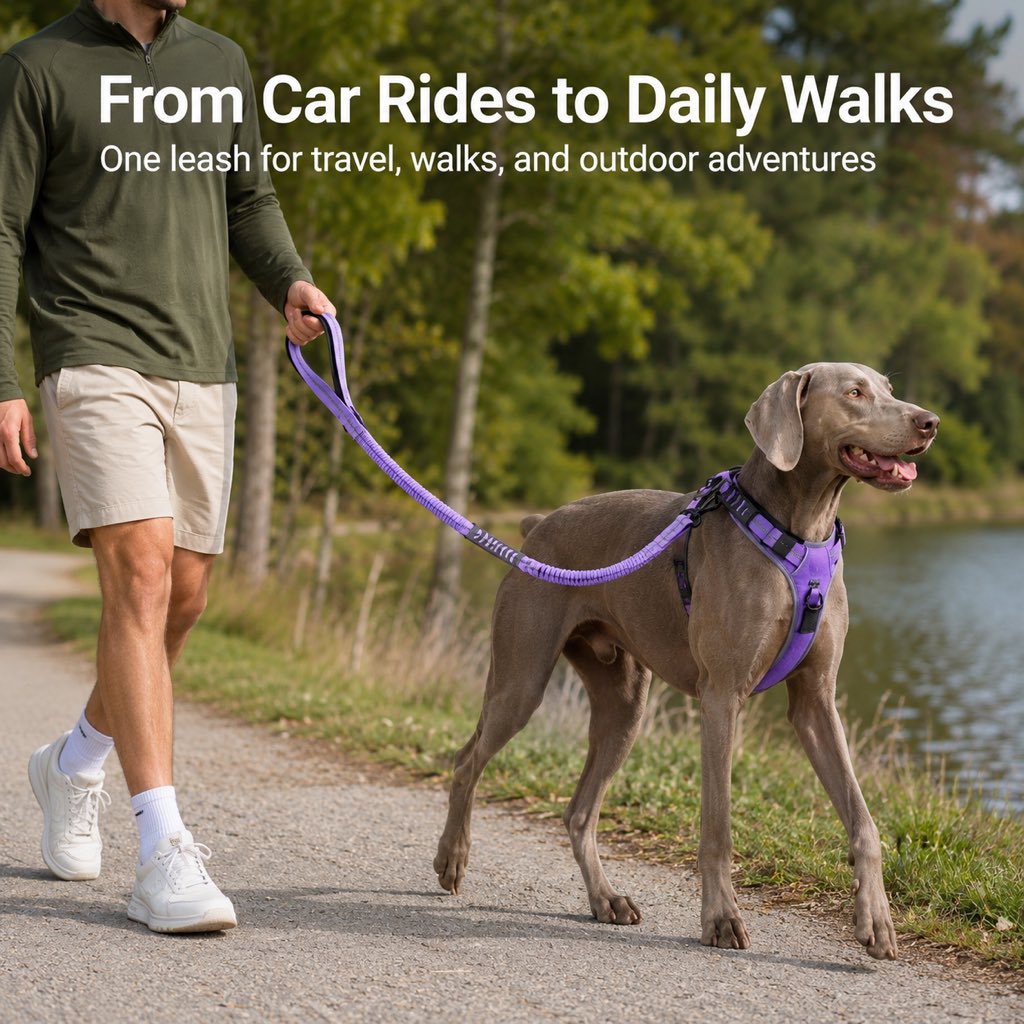 2-In-1 Reflective & Shock-Absorbing Dog Seat Belt Leash – view 9