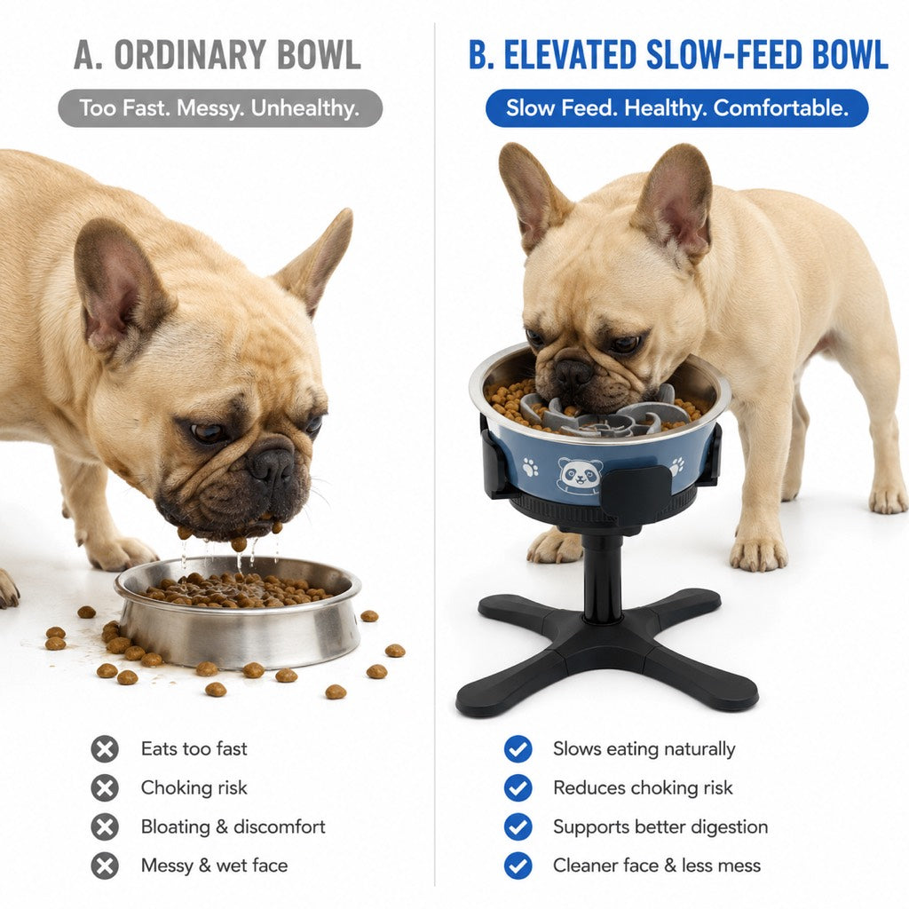 Adjustable Height & Tilt Elevated Dog Bowl (Slow-Feed Insert) – view 10
