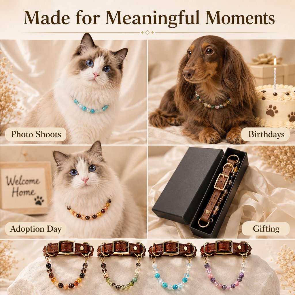 Astrology-Inspired Crystal-Beaded Adjustable Pet Collar – view 9