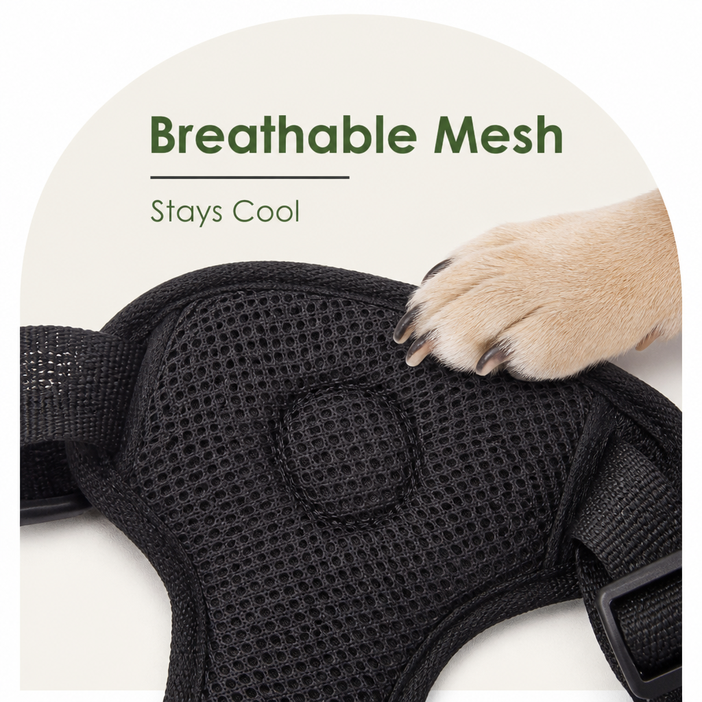 Petmarlow Adjustable Breathable Mesh Dog Car Safety Harness – view 7