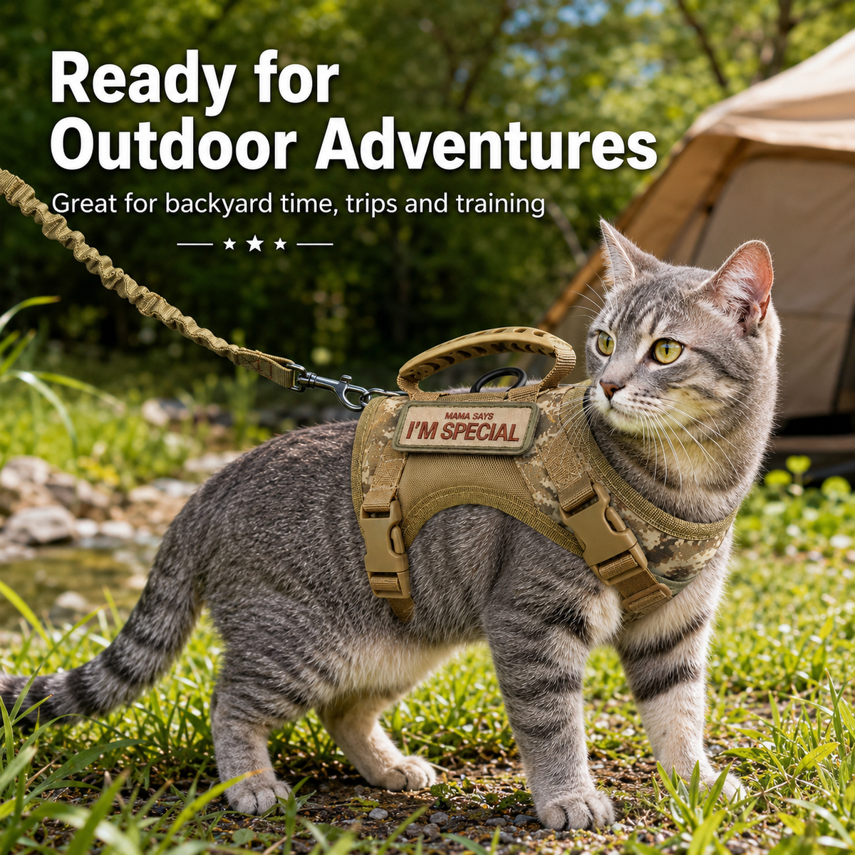 Escape-Resistant Adjustable Breathable Mesh Cat Harness (Vest-Style) – view 9